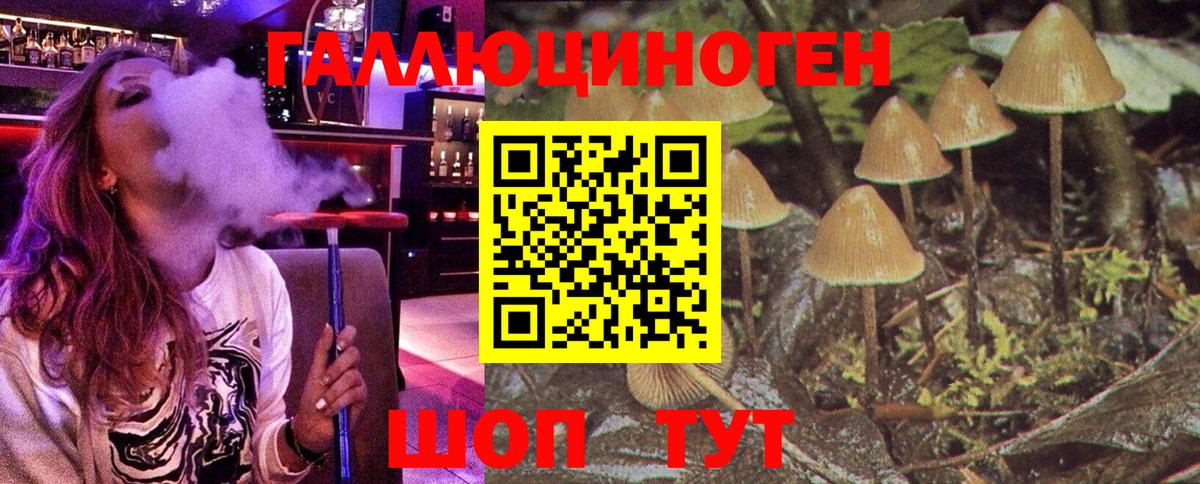 Алексеевка  Псилоцибиновые грибы GOLDEN TEACHER  Вход с VPN 